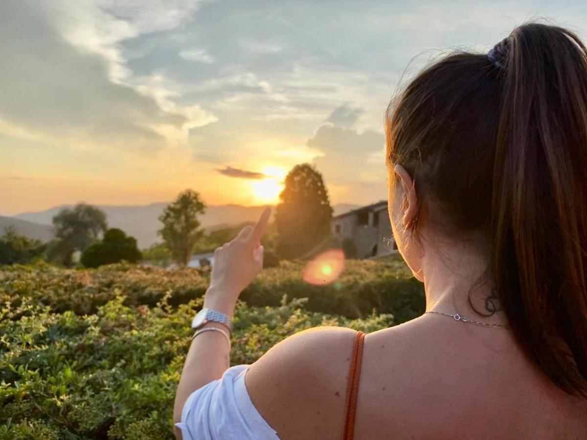 Agriturismo Le Case Assisi Luaran gambar