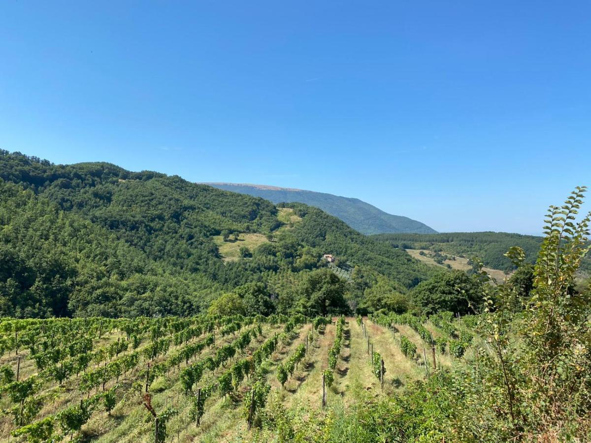 Agriturismo Le Case Assisi Luaran gambar