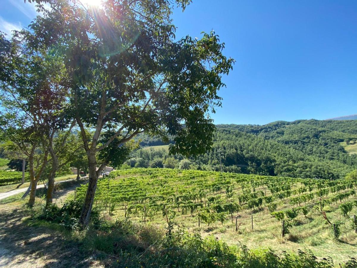 Agriturismo Le Case Assisi Luaran gambar