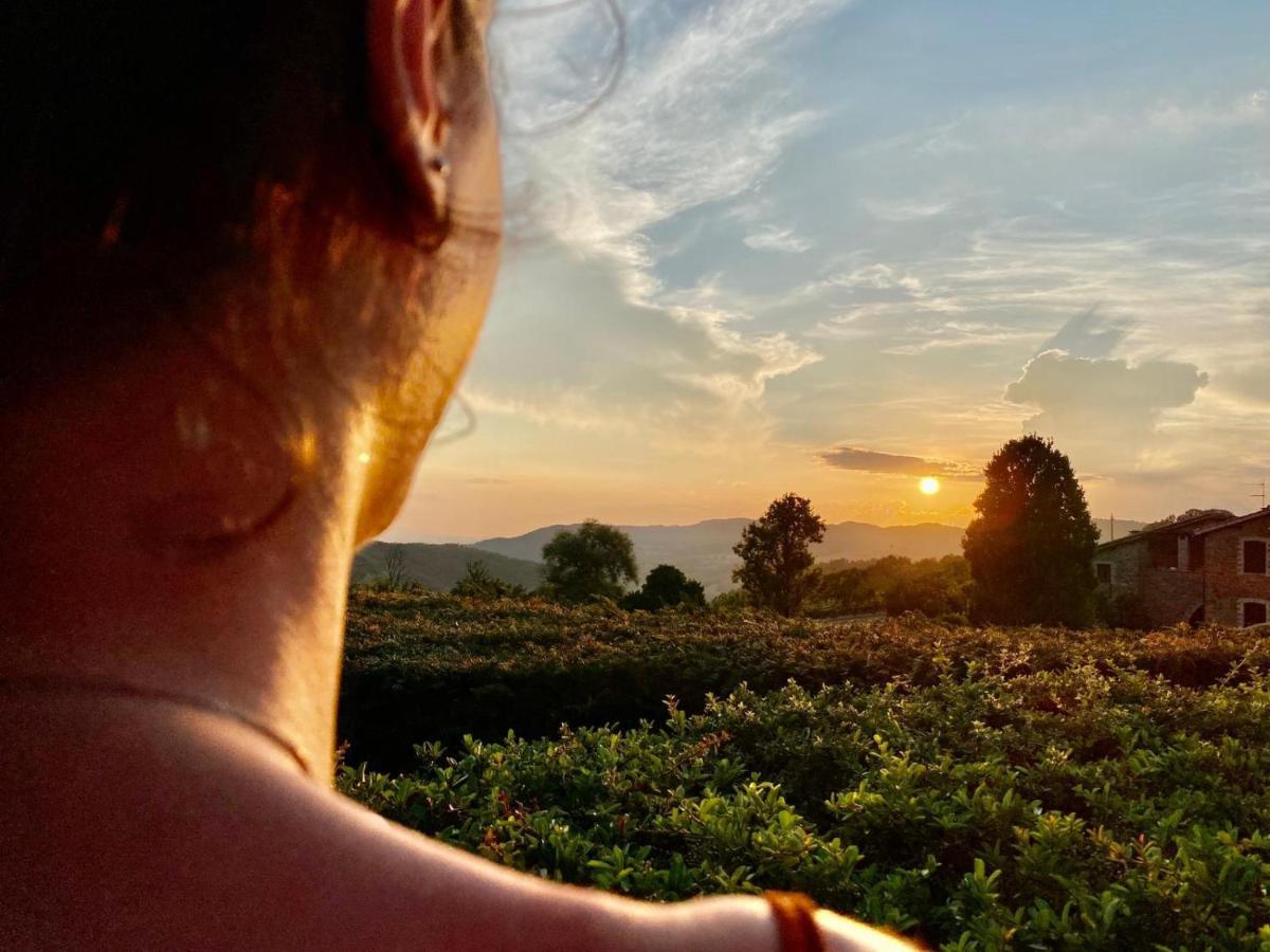 Agriturismo Le Case Assisi Luaran gambar
