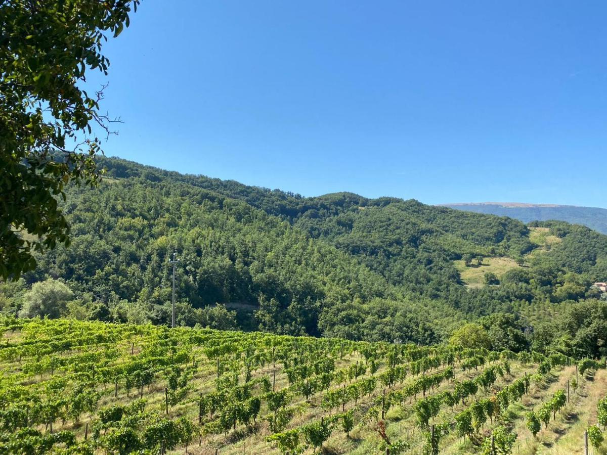 Agriturismo Le Case Assisi Luaran gambar