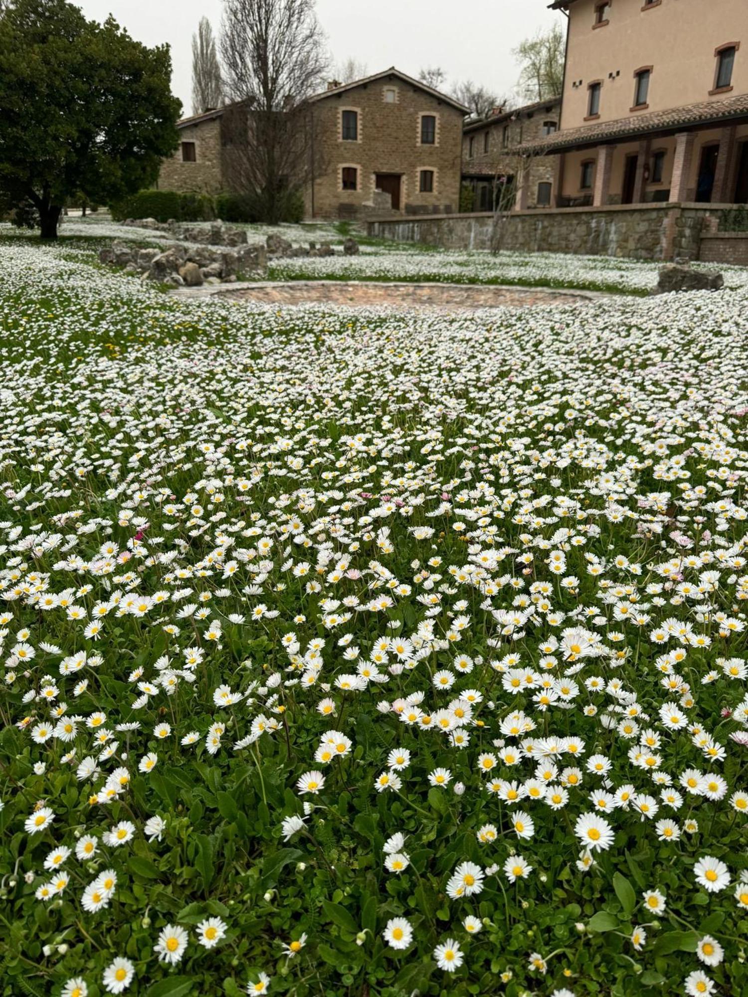 Agriturismo Le Case Assisi Luaran gambar