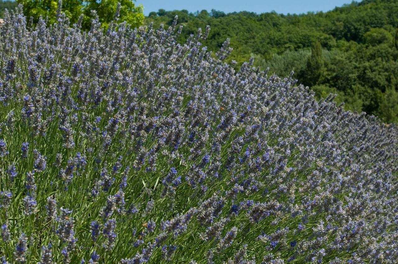 Agriturismo Le Case Assisi Luaran gambar